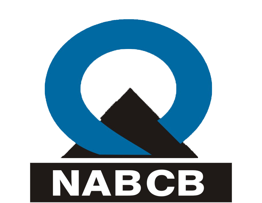 ISO icon 2.png